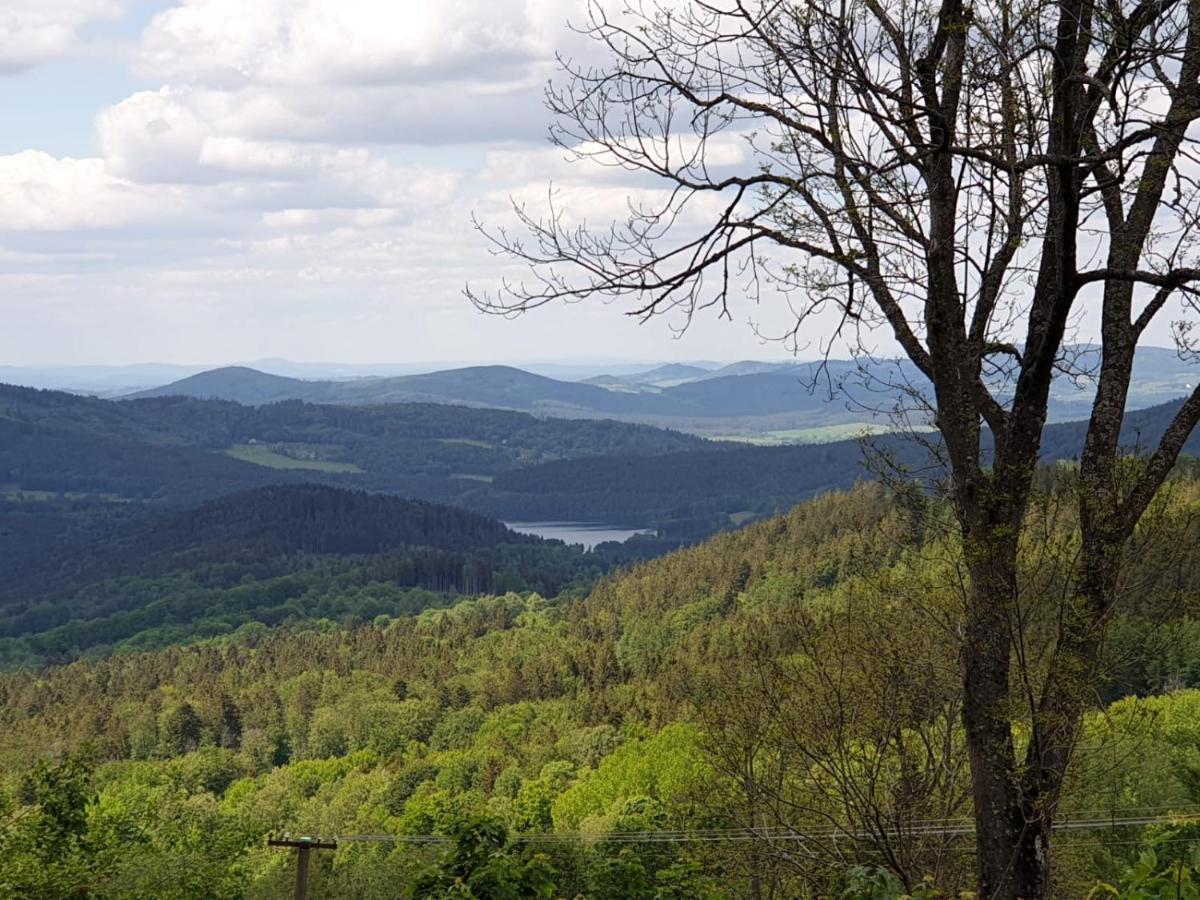 ホテル Koenig-In Hojsova Stráž エクステリア 写真
