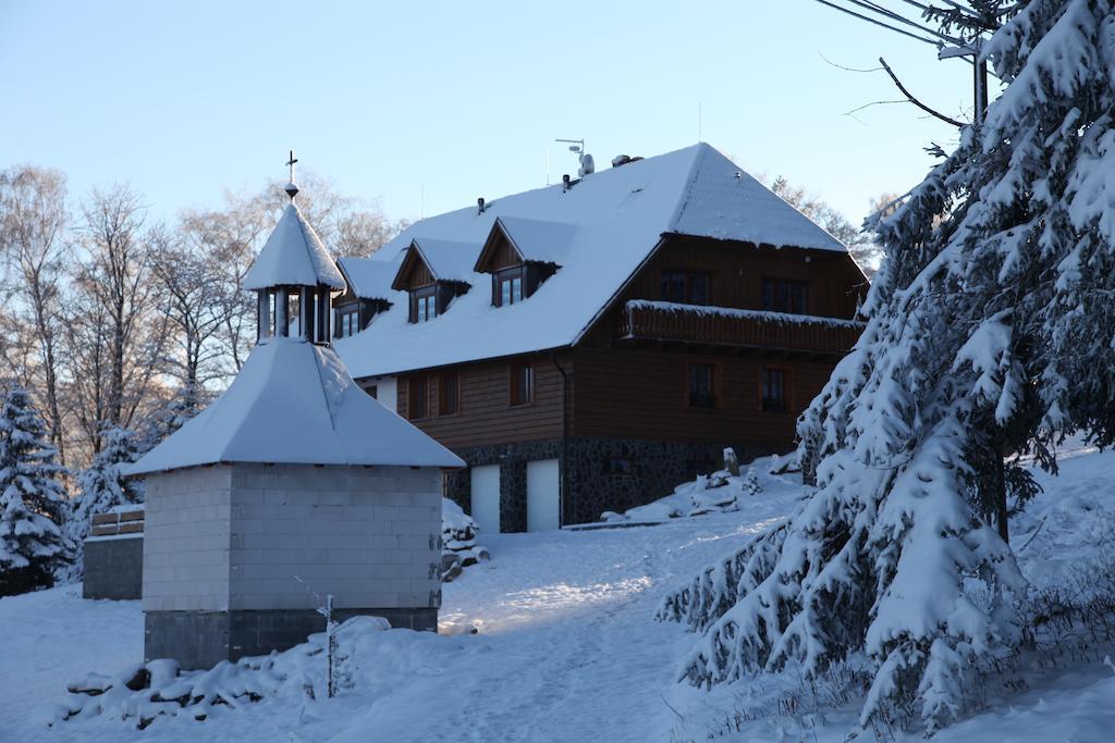 ホテル Koenig-In Hojsova Stráž エクステリア 写真