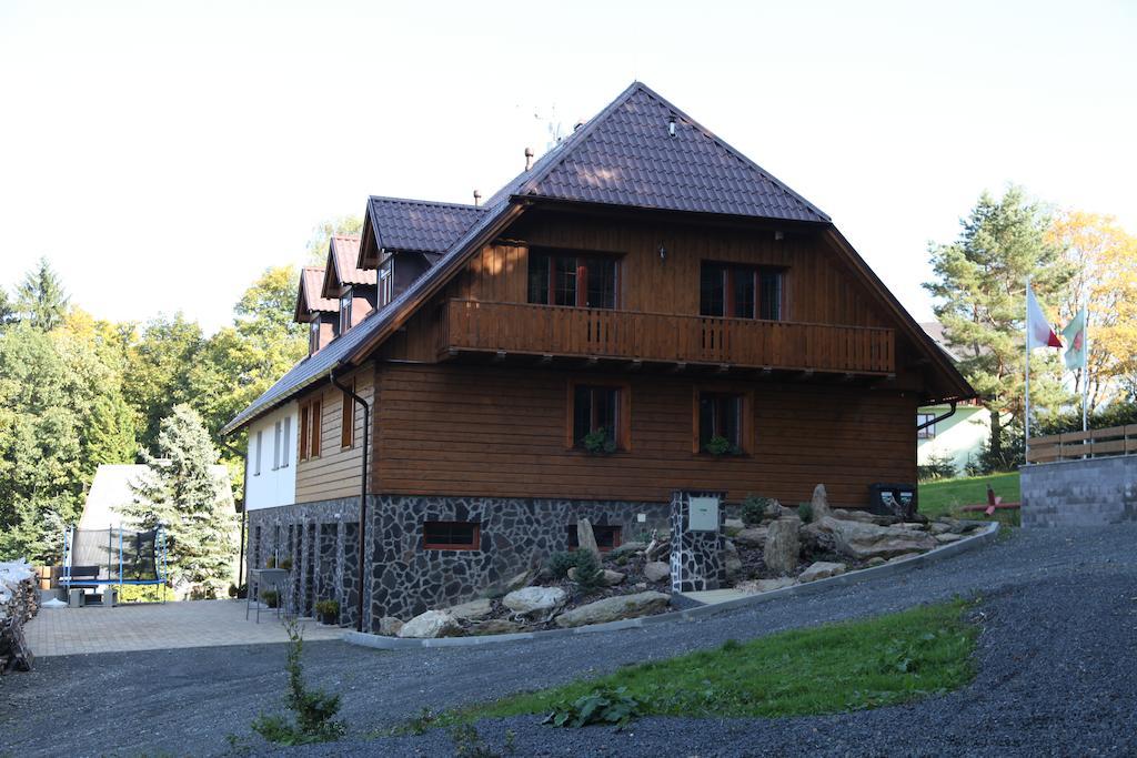 ホテル Koenig-In Hojsova Stráž エクステリア 写真